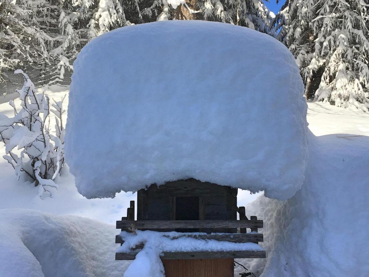 Guffertblick Villa Achenkirch Buitenkant foto